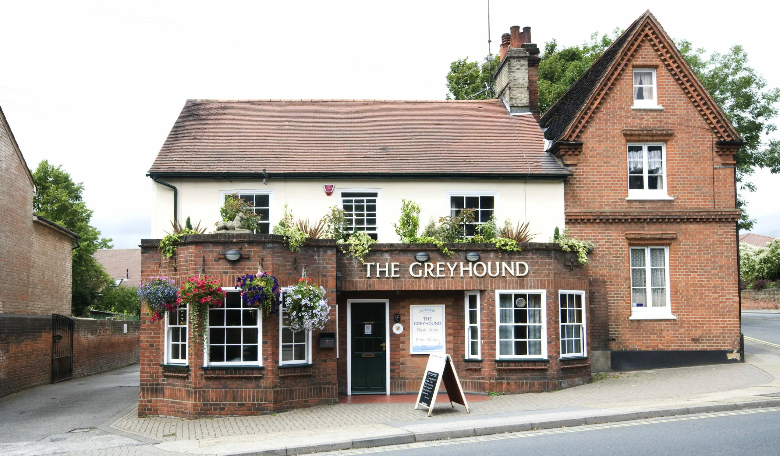 The Greyhound