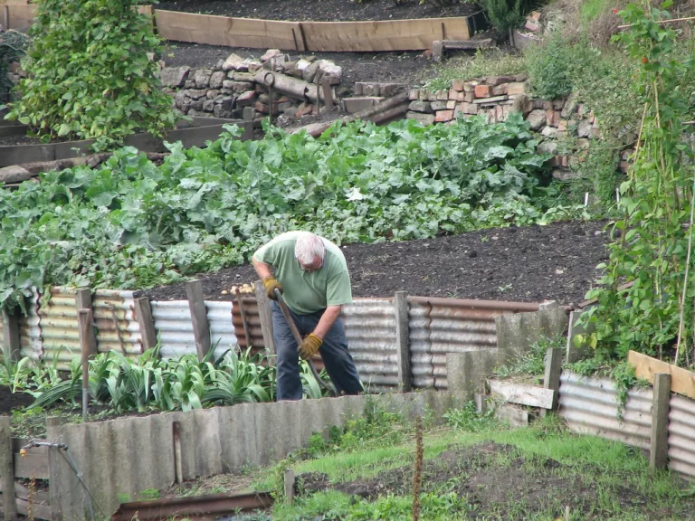 ActivGardens – What is Gardening in Mind?