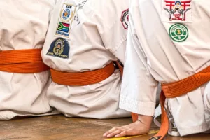 Para-Martial Arts at Murrayside
