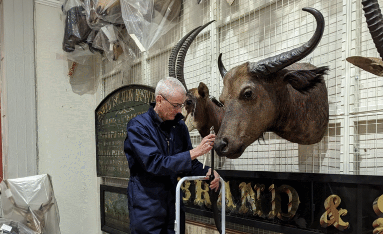 Hands On – Conservation In Practice – Family Day