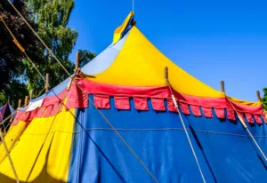 Pop Up Circus