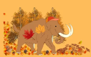 Woolly’s Autumn Trail