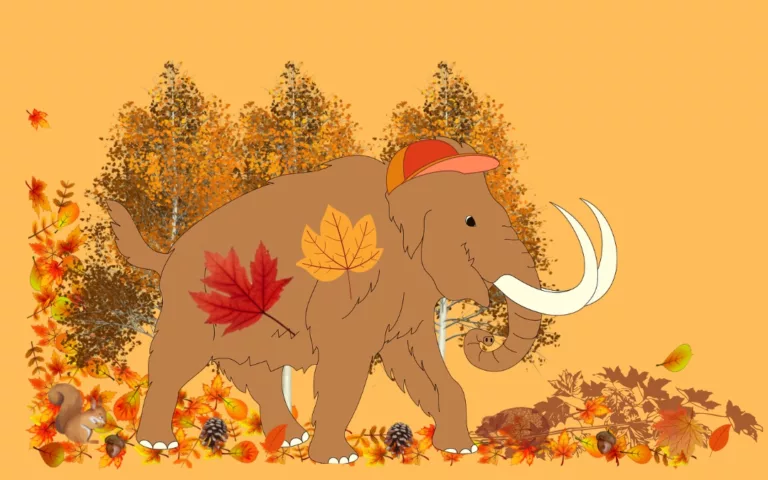 Woolly’s Autumn Trail