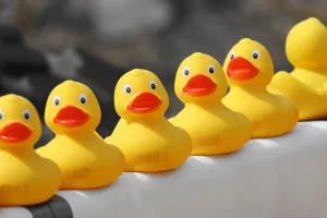 Five Little Ducks
