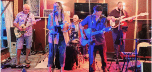 The Reverbs
