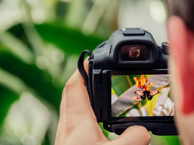 Get off auto – Digital Photography beginner’s class for DSLR and Mirrorless Systems