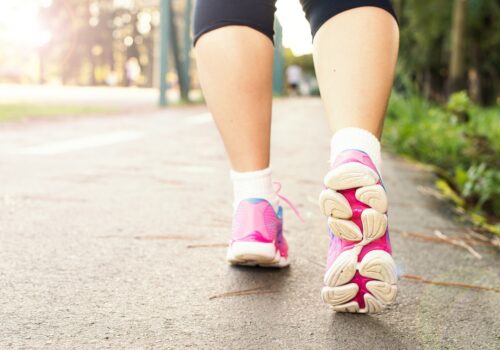 Free Walking activities – Moderate Walking Group