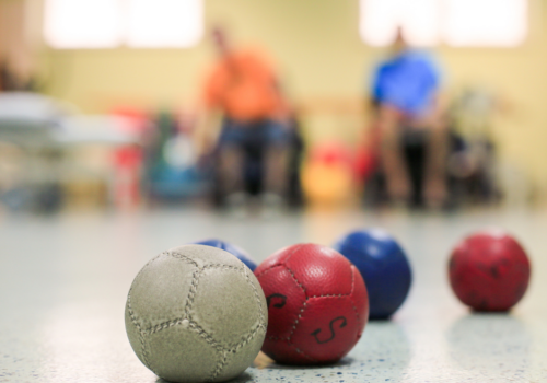 ActivBoccia