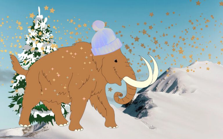 Woolly’s Christmas Trail