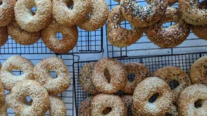 Bagel Workshop