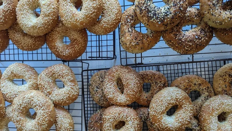 Bagel Workshop