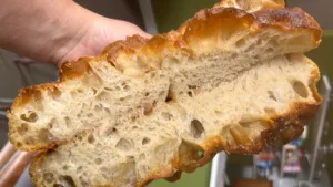 FOCACCIA WORKSHOP