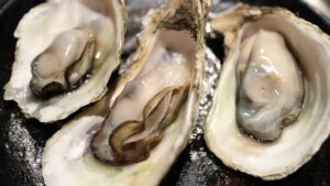 Oyster Land by East Anglian filmmaker Matthew Harrison