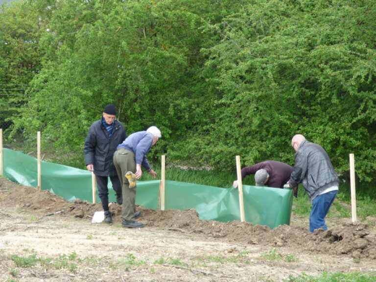Greenways Countryside Project