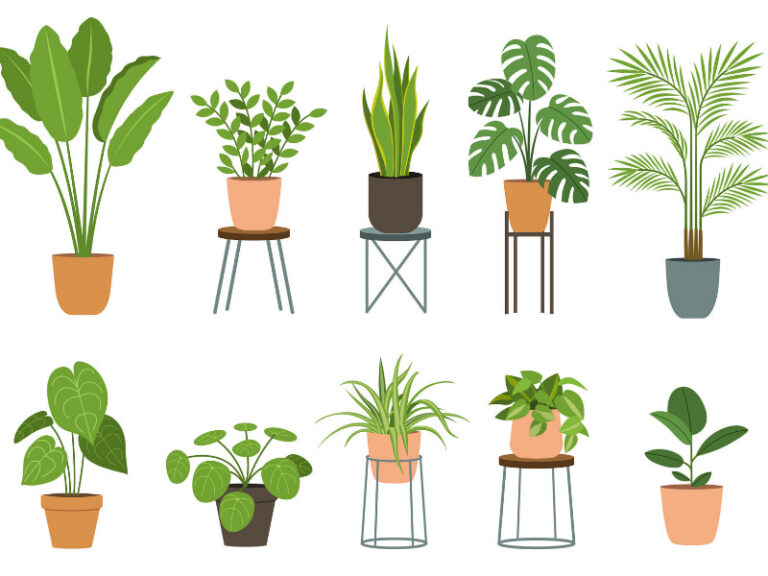 Flat Pack Fauna Workshop with Joel Millerchip