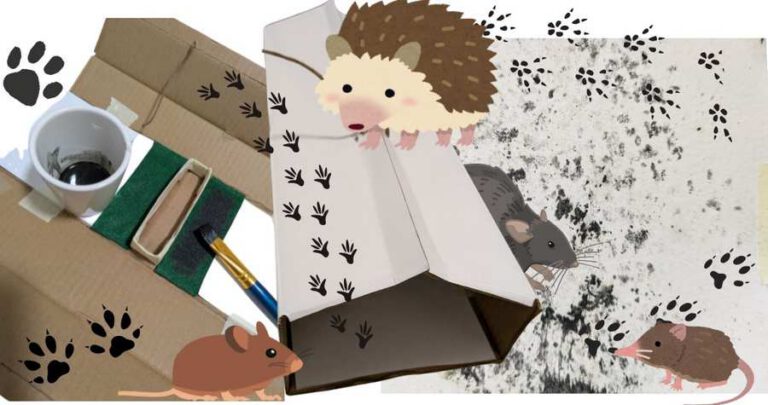 Make A Mammal Footprint Tunnel