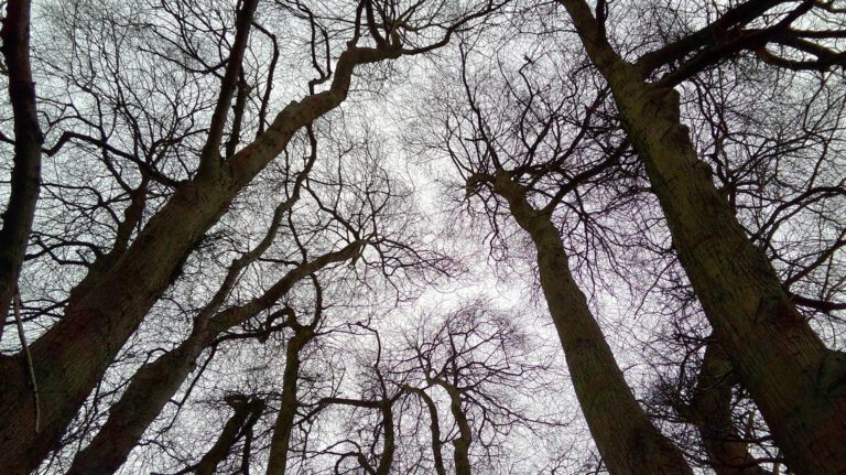 Spring Wood Working Party