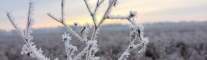 How has the ecology of our land changed over the past centuries?