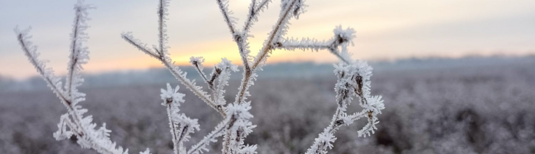 How has the ecology of our land changed over the past centuries?
