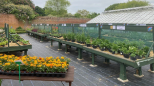 Volunteer at Chantry Walled Garden – Tuesdays