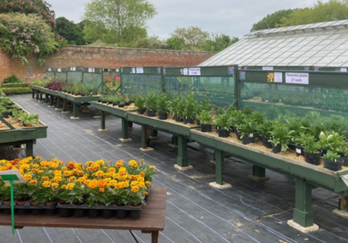 Volunteer at Chantry Walled Garden – Tuesdays