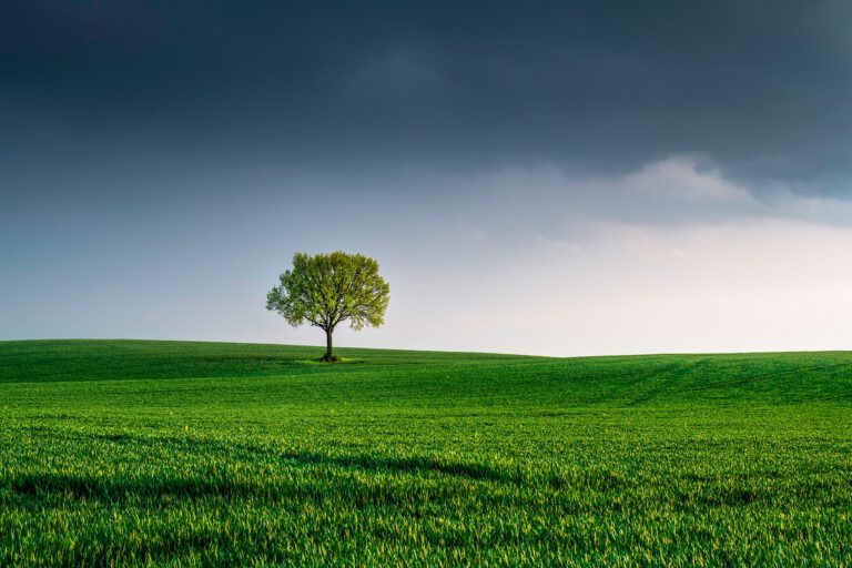 Spotlight Suffolk: Green Future – Hype or Hope?
