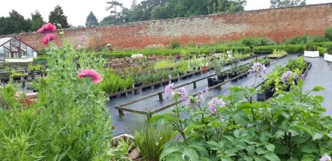 Chantry Walled Garden - Ipswich.love