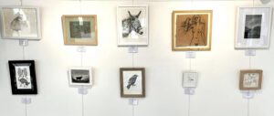 ‘Perspectives on Drawing Animals’