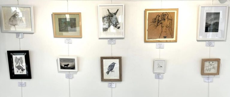 ‘Perspectives on Drawing Animals’