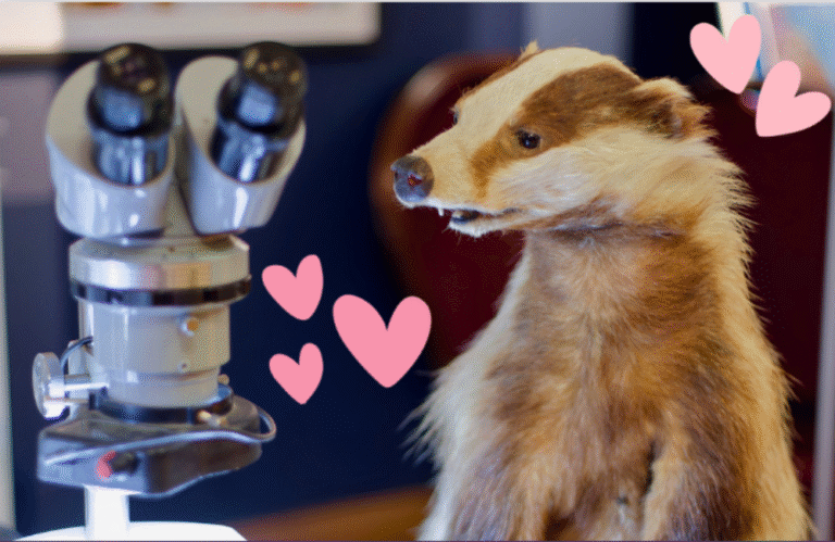 Love Mammals Discovery Day