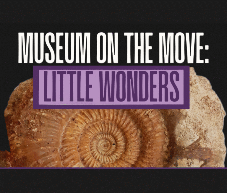 Museum on the Move: Little Wonders