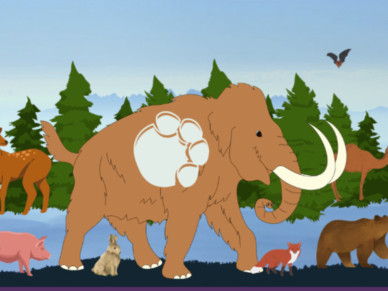 Woolly’s Wonderful Mammal Trail