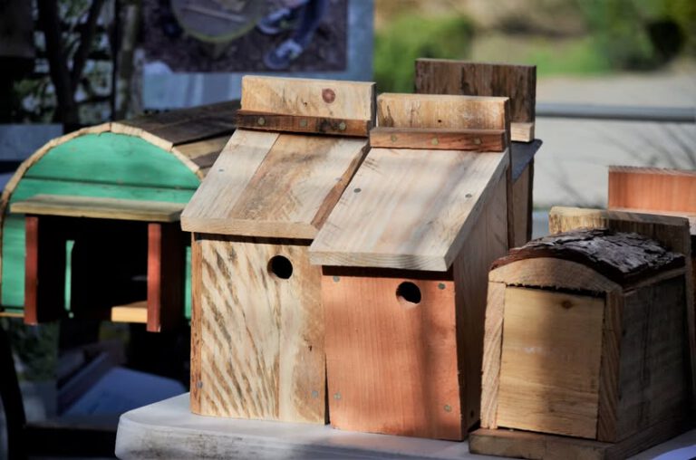 Wildlife Homes Event