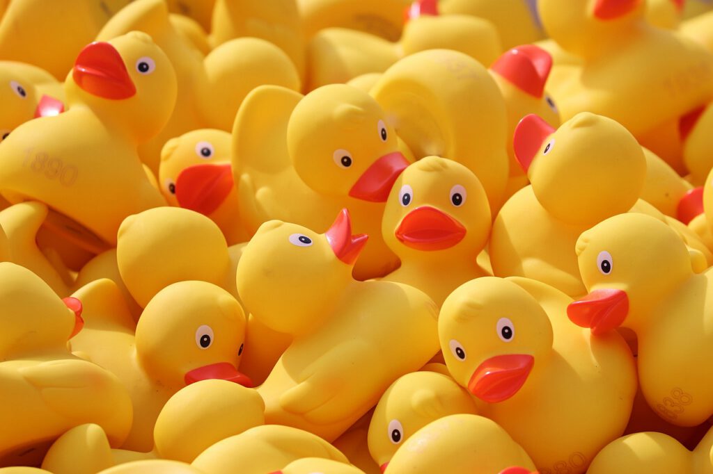 It’s time to enter the Ducks In A Row Awards of Excellence! - Ipswich.love