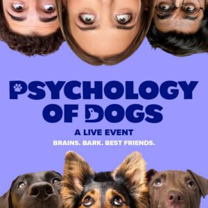 The Psychology Of Dogs