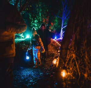 Illuminate Ipswich 2025