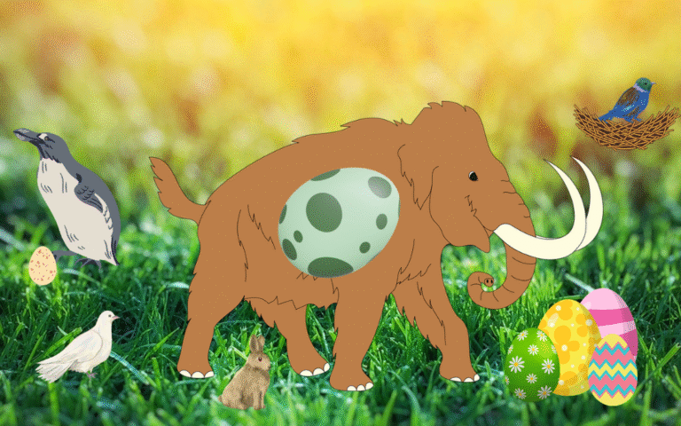 Woolly’s Egg Trail
