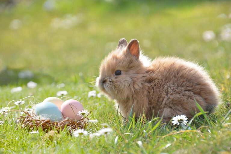 Easter Craft Camp at Handcrafted Me!