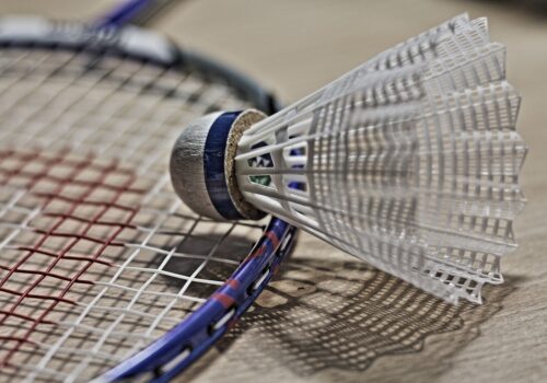 50+ Badminton sessions