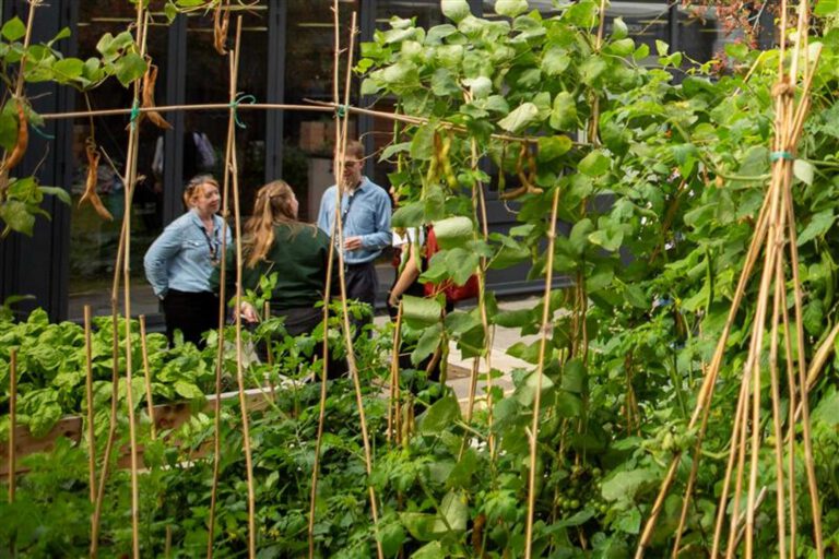 Earth Day – Revisiting Sustainability: Why Social Value Matters