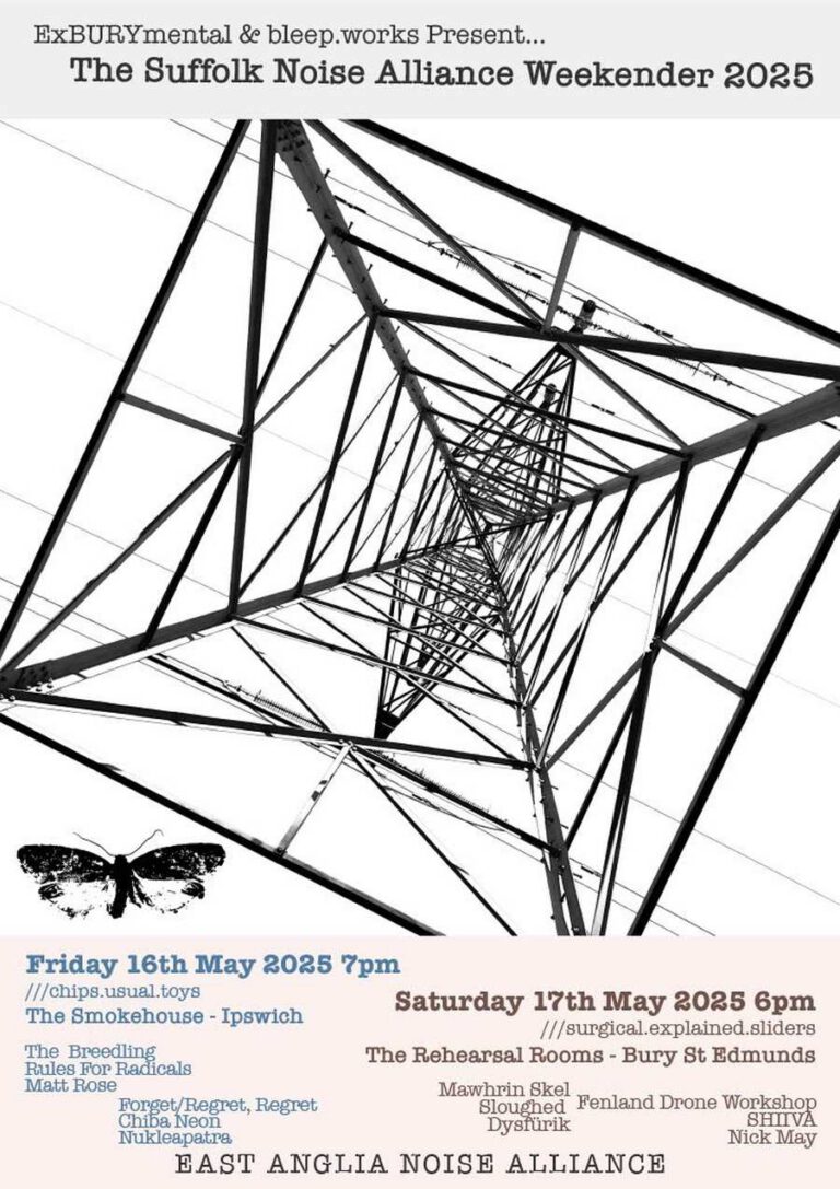 Suffolk Noise Alliance 2025