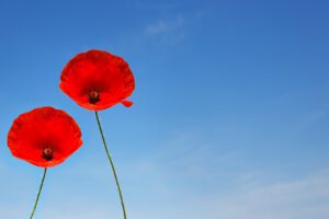 Commemorations and celebrations for VE Day – morning