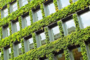 Sustainable Construction: ESG Implementation & Carbon Strategies
