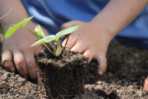 Wildlife & Gardening Session for Childminders & Their Children