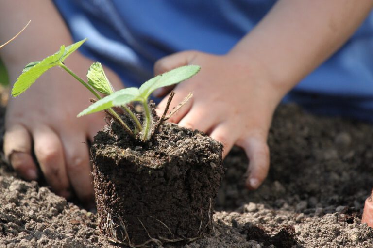 Wildlife & Gardening Session for Childminders & Their Children