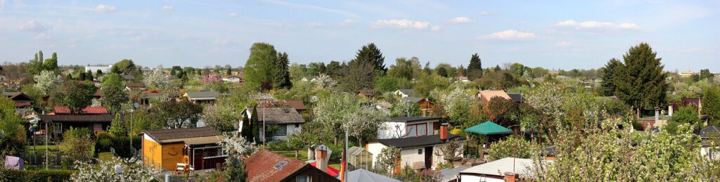 Maidenhall Allotments