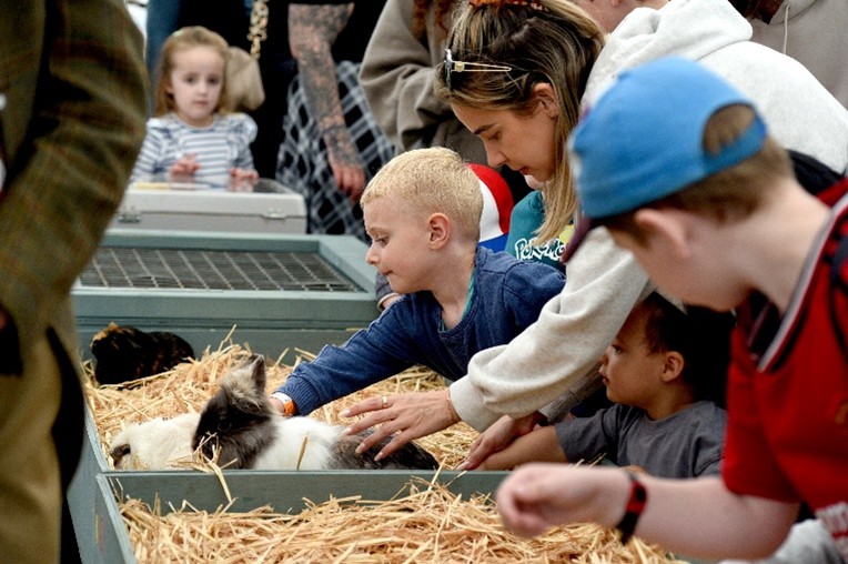 Going to the Suffolk Show this year?