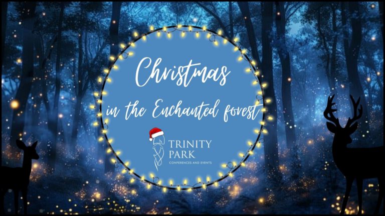Enchanted Forest – Christmas at Trinity Park