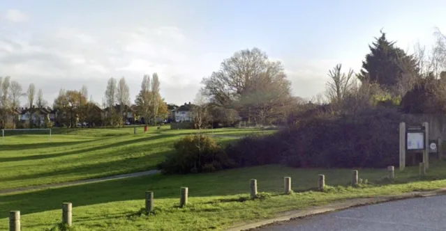 A few over Landseer park featuring open parkland, trees and some wooden bollard markers