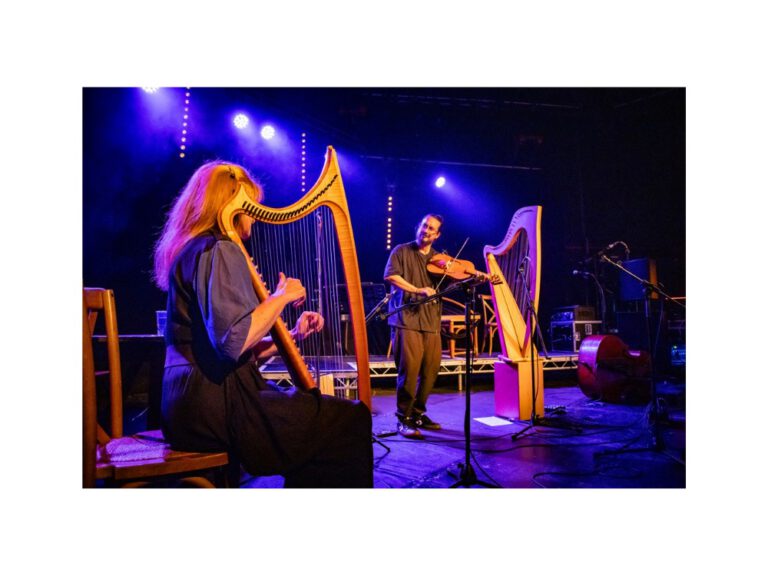 The Harp Maker’s Tale